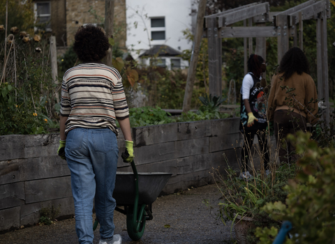 Person pushing a wheelbarrow