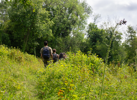 People walking along a path surrounded by lush summer vegetation