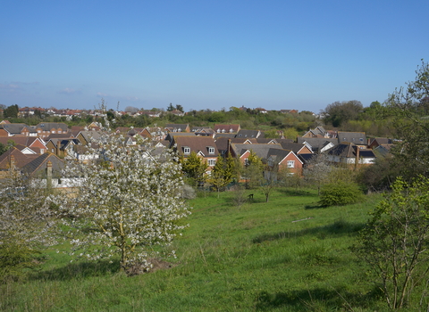 View from Braeburn Park