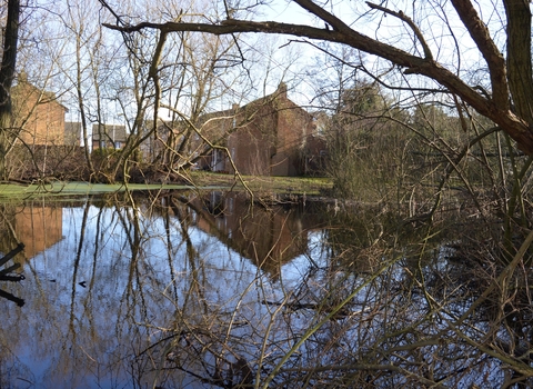 Park Road Pond