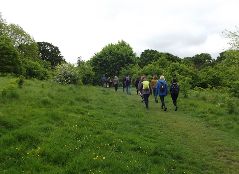 A group of people walking across a field with trees around