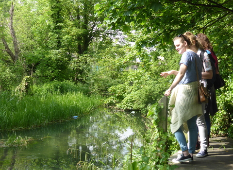 Spencer Road Wetlands