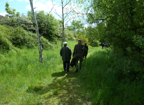 People walking in Gunnersbury Triangle