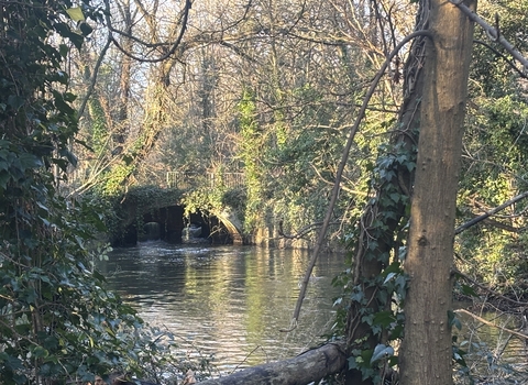 River crane flowing under an arched bridge